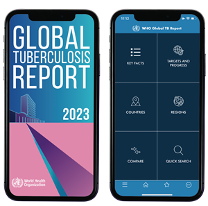 Preview of the GTB report app 2023