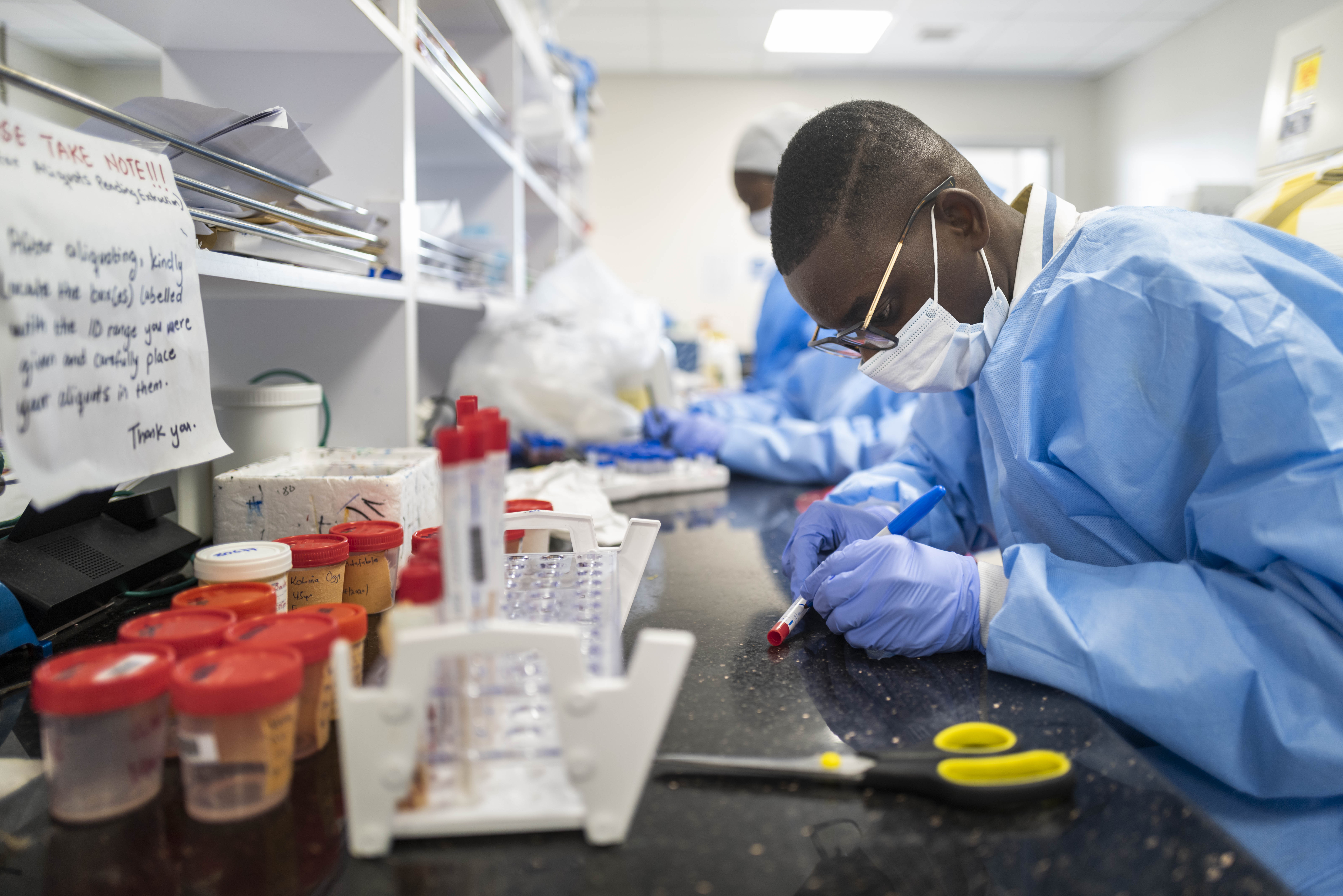 In vitro diagnostics being process